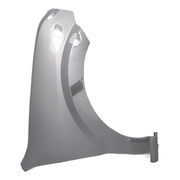 Paralama Direito Ecosport 2008 09 10 11 2012 Original G