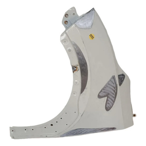 Paralama Byd  Dolphin Mini 2024 2025 2026 Original Lj Branco