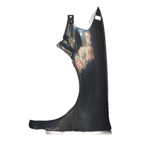 Paralama Esquerdo Gol G4 Original Lj