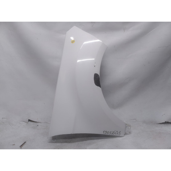 Paralama Direito Ecosport  2013 14 15 16 17 2018 Original G