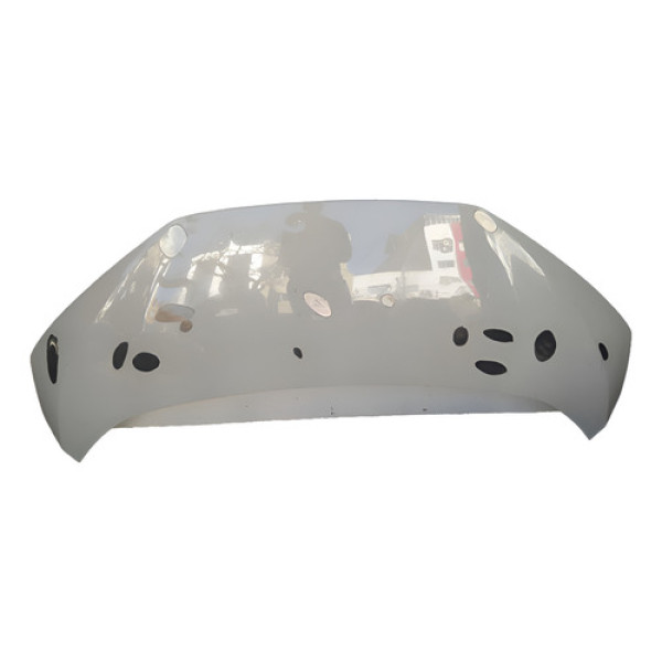 Capo Byd Dolphin Mini 2024 2025 Original Lj